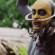 The Green Inferno blazes into theaters – review