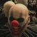 Send in the Clowns! – AHS: Cult – review